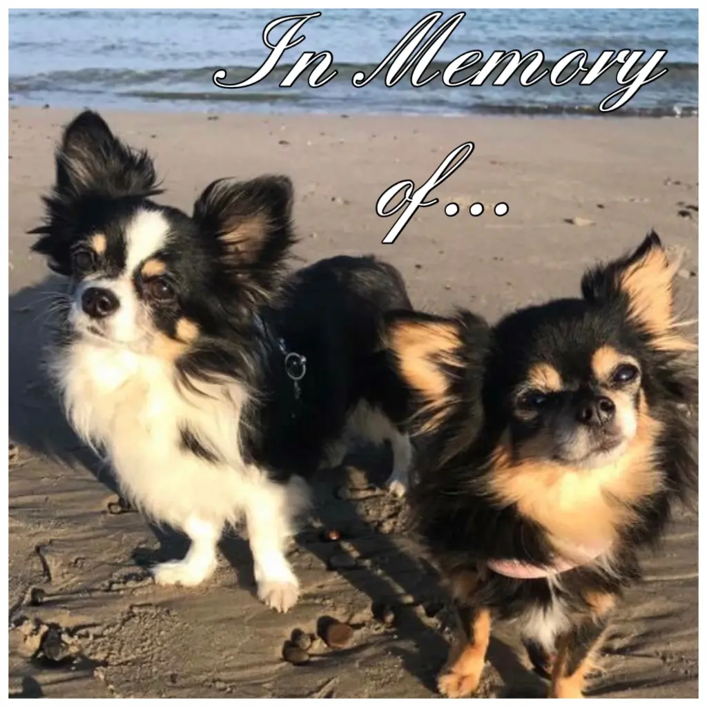 Image from Mary J. ❤️