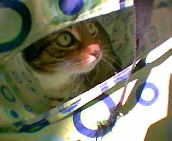 Image from MINKE  (ehemals Puschkin)