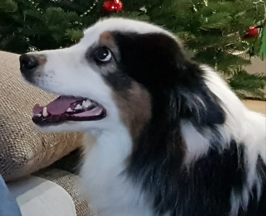 Condolence image of Heidi