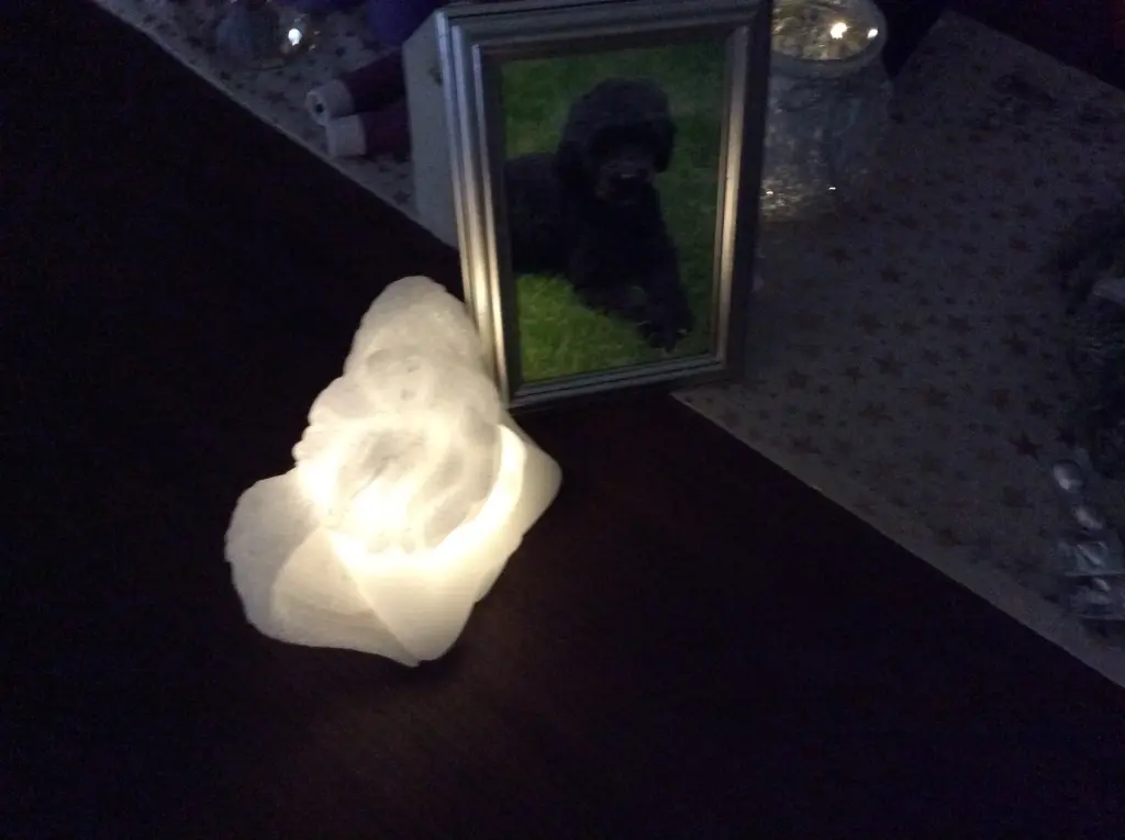 Condolence image of Heidi 