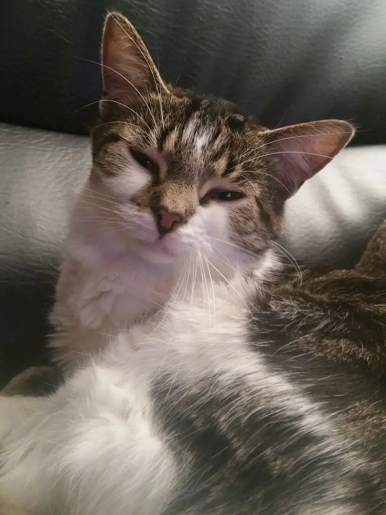 Bild von Donna