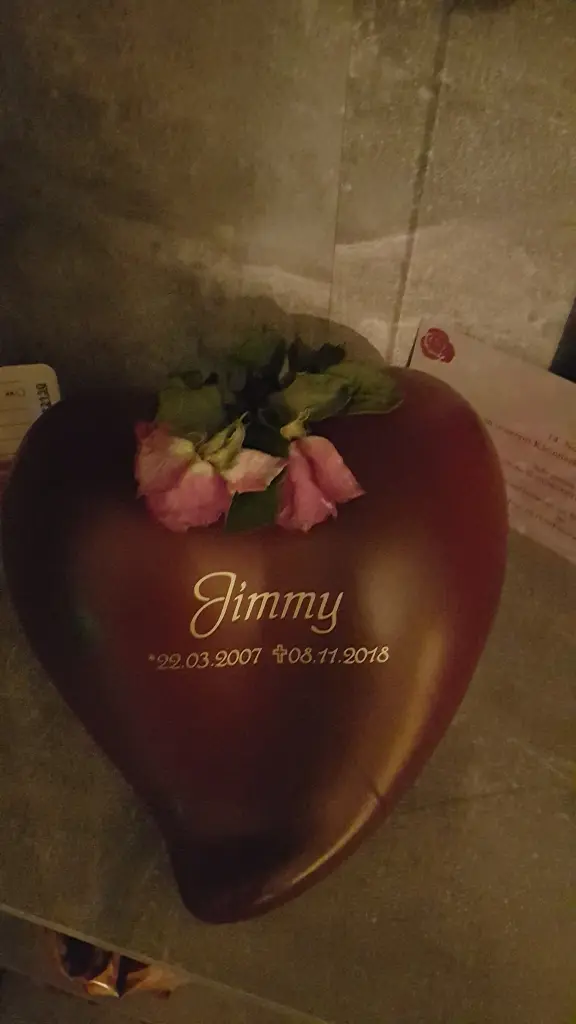 Image from Jimmy