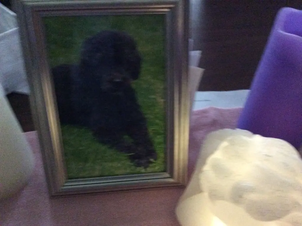 Condolence image of Heidi