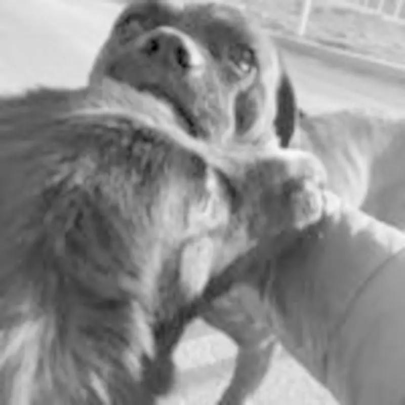 Condolence image of Marion mit Engeln im Herzen und mit Monty u Mogli