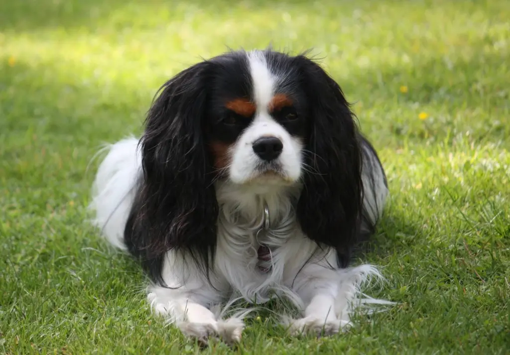Condolence image of Renate