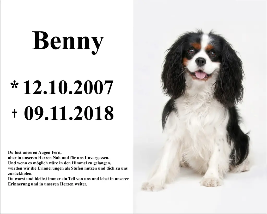 Condolence image of Uwe und Renate