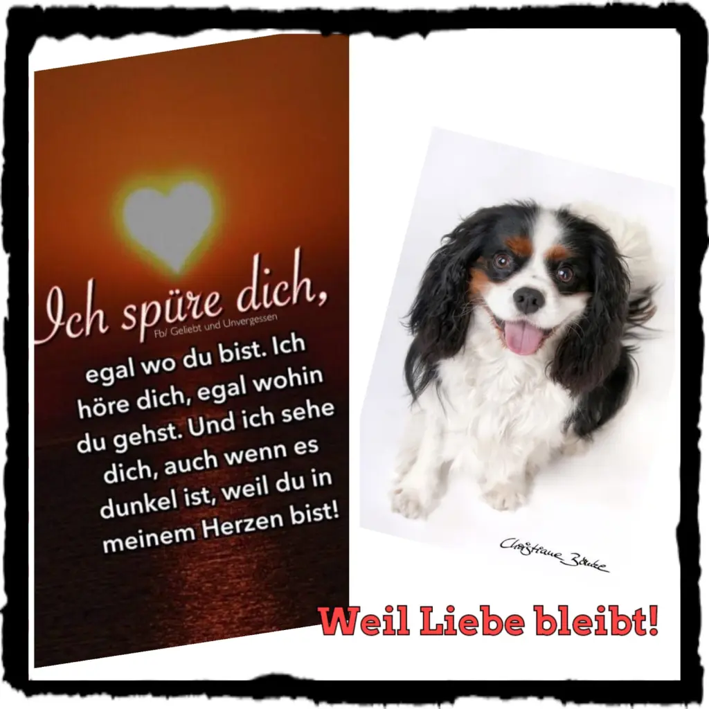 Condolence image of Uwe und Renate