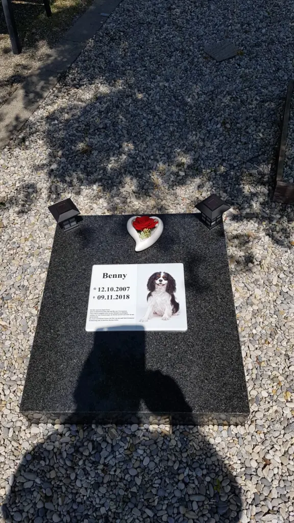 Condolence image of Uwe und Renate