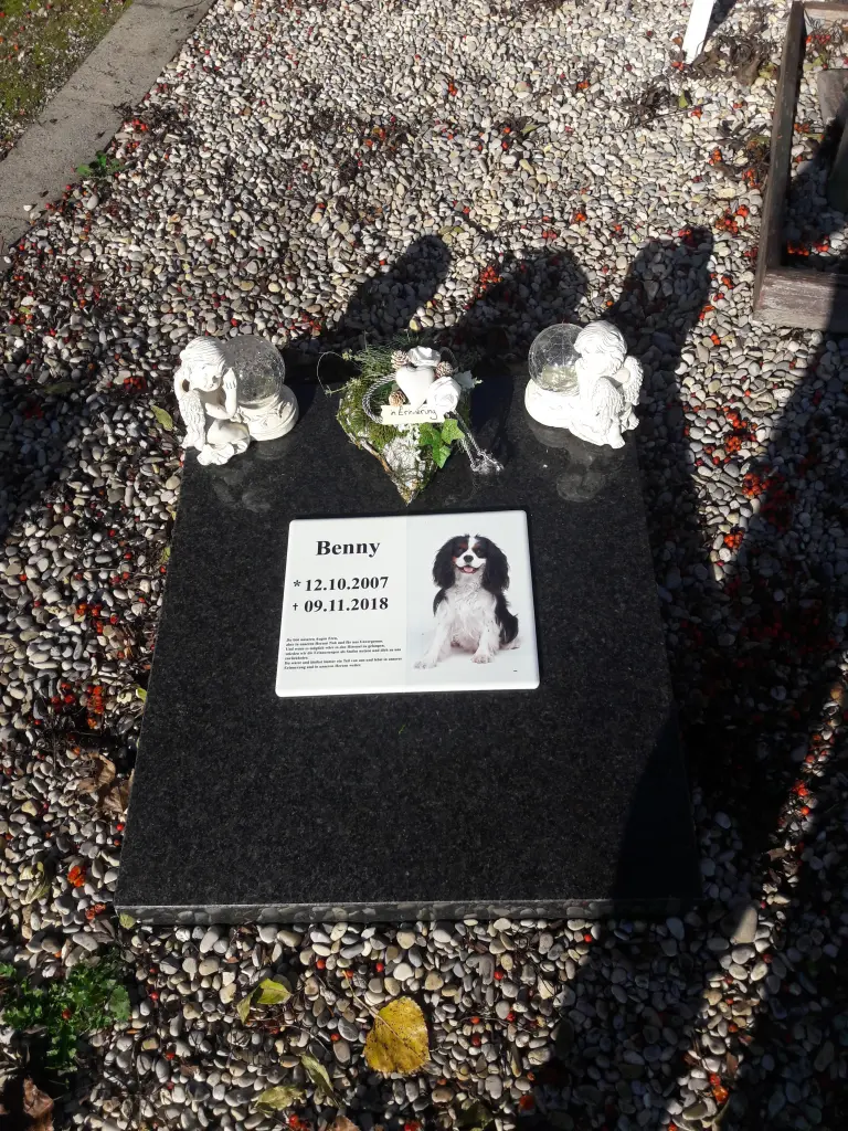 Condolence image of Renate