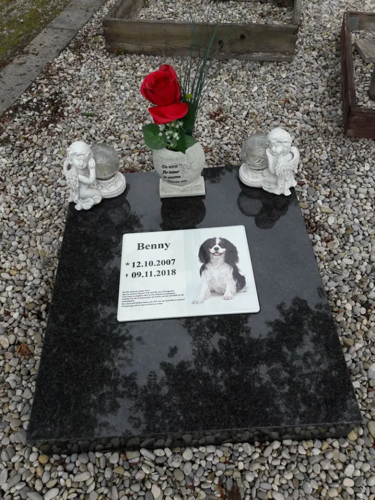 Condolence image of Uwe und Renate