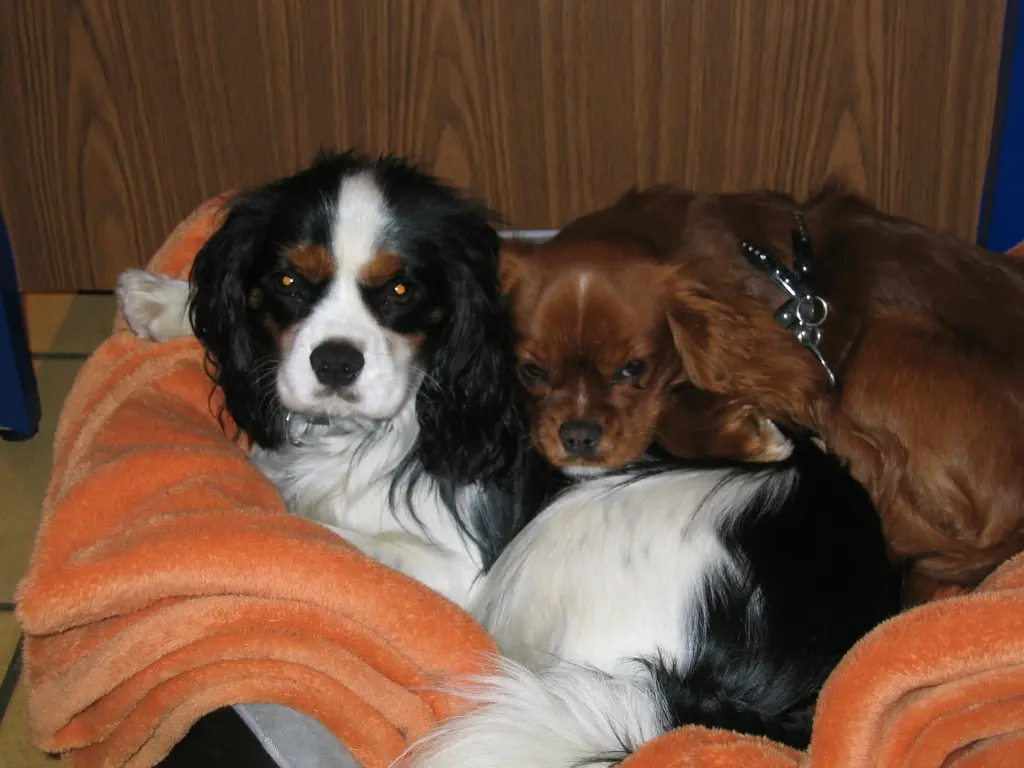 Condolence image of Uwe und Renate