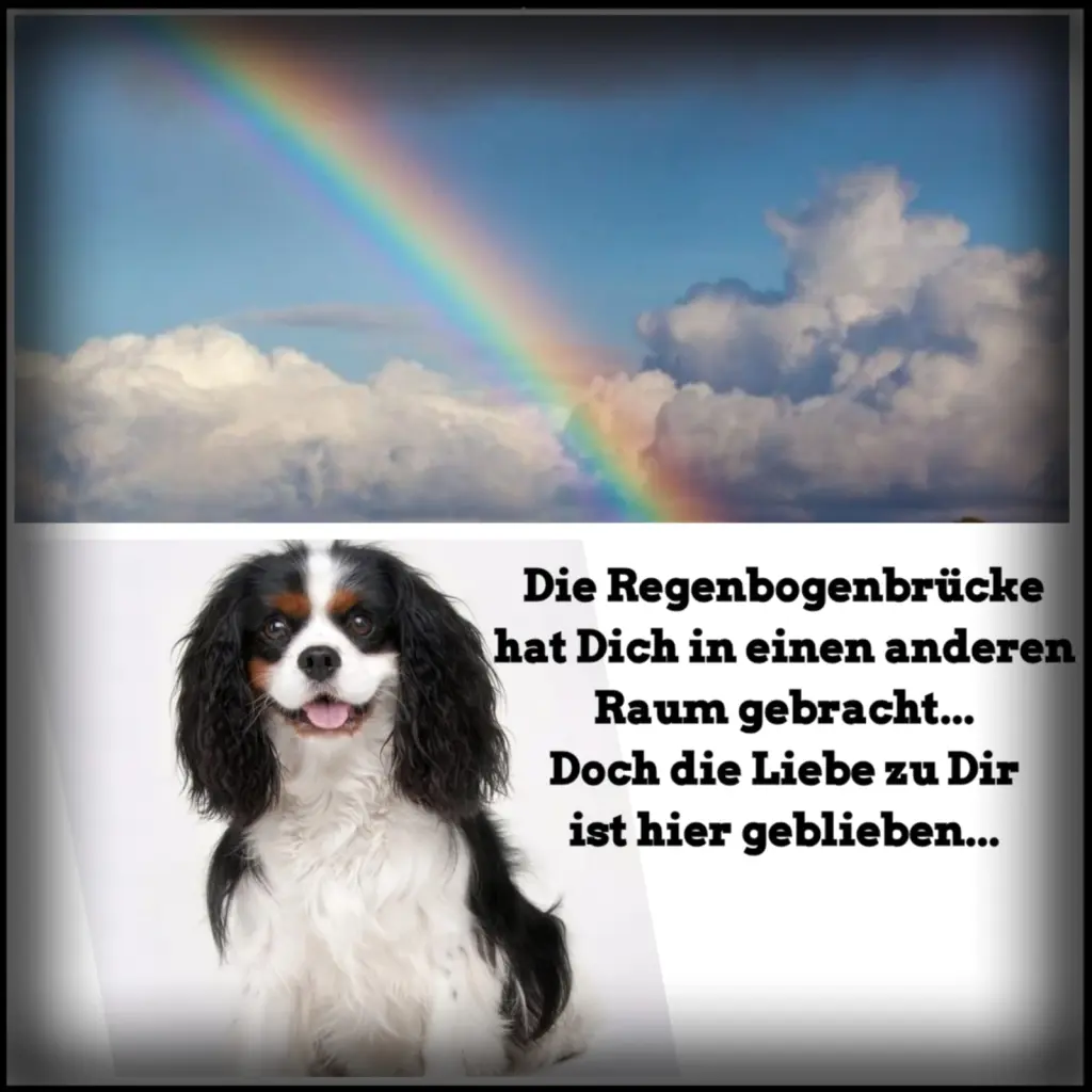 Condolence image of Uwe und Renate