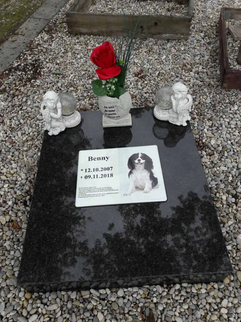 Condolence image of Uwe und Renate