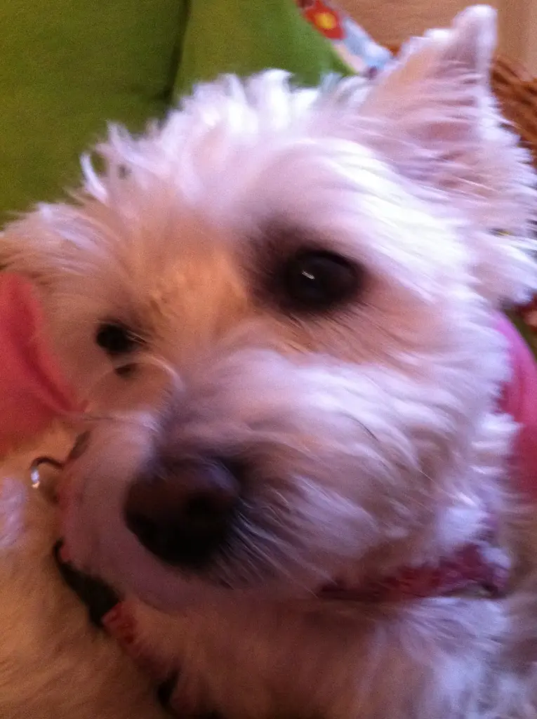 Image from Emily