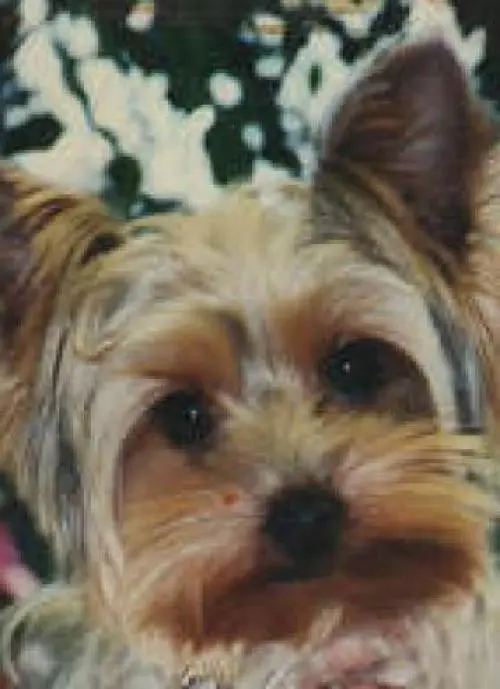 Image from Nicki