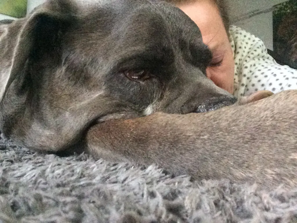 Condolence image of Barbara mit Dusty4ever