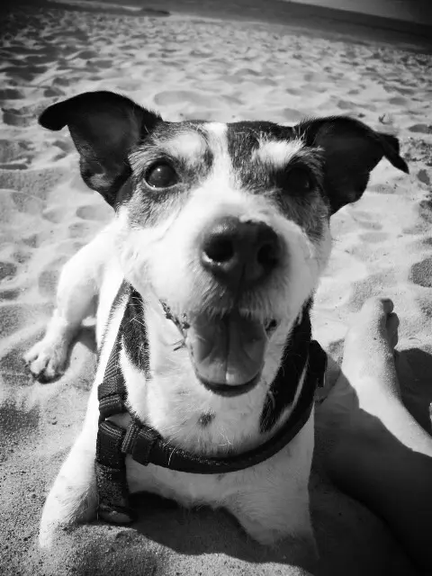 Image from Rusty