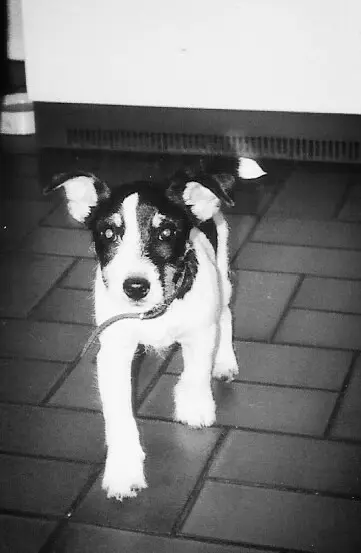 Image from Rusty