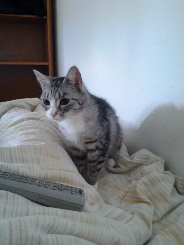 Condolence image of Mathias