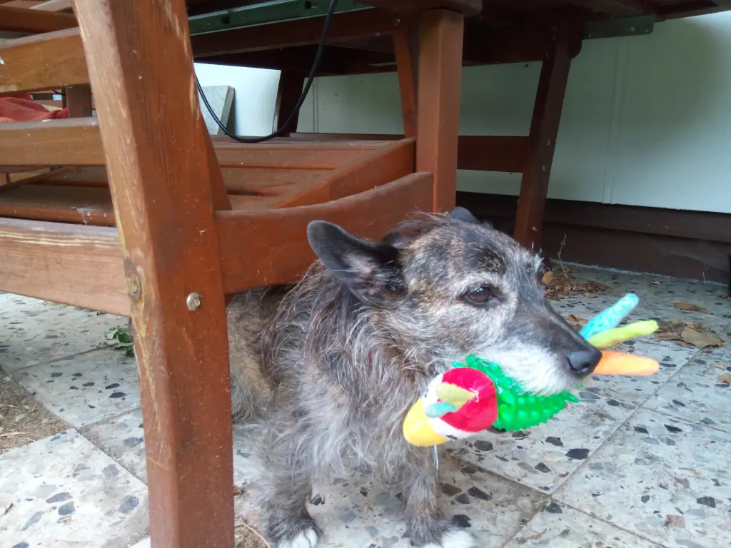 Image from Rusty