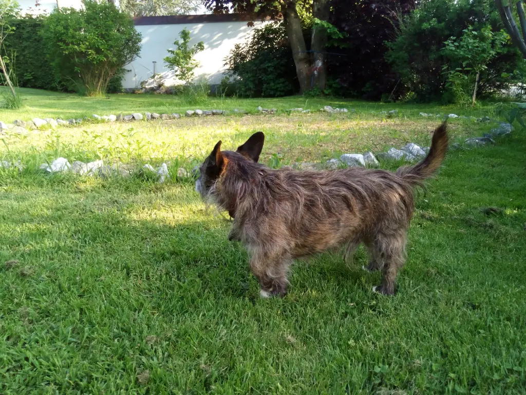 Image from Rusty