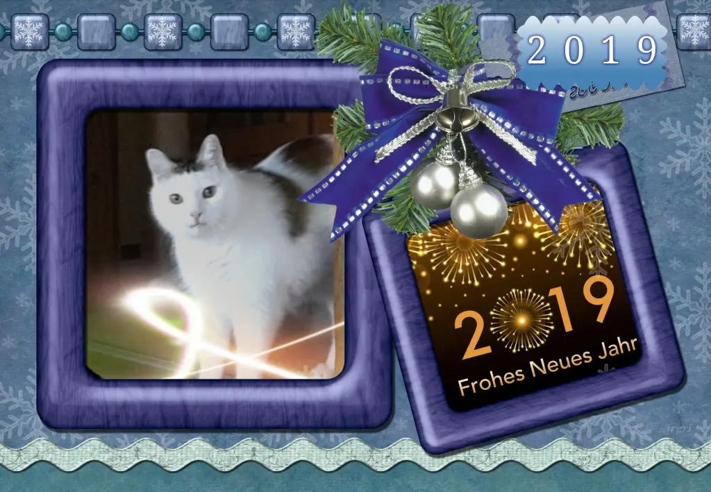 Condolence image of Klaudia mit Misiu❤❤❤Ganz Tief im Herzen❤