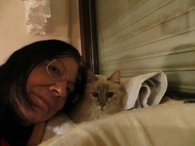 Condolence image of Uschi mit Seelenkatzen Merlin und Jojo