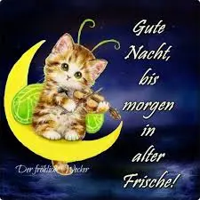 Condolence image of Nelly und Freunde, Regenbogenland