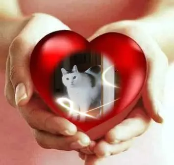 Condolence image of Sonntags Rosen❤️fur Liebe Jonny❤️