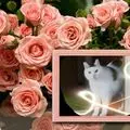 Condolence image of ❤️❤️❤️