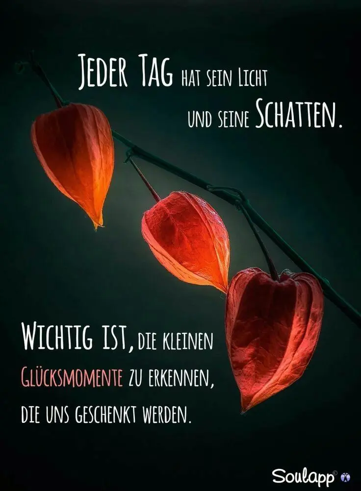 Condolence image of Ilse mit Jule, Gismo, Fee und Minna tief im Herzen