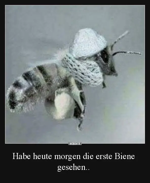 Condolence image of Anja mit Joy im Herzen ❤