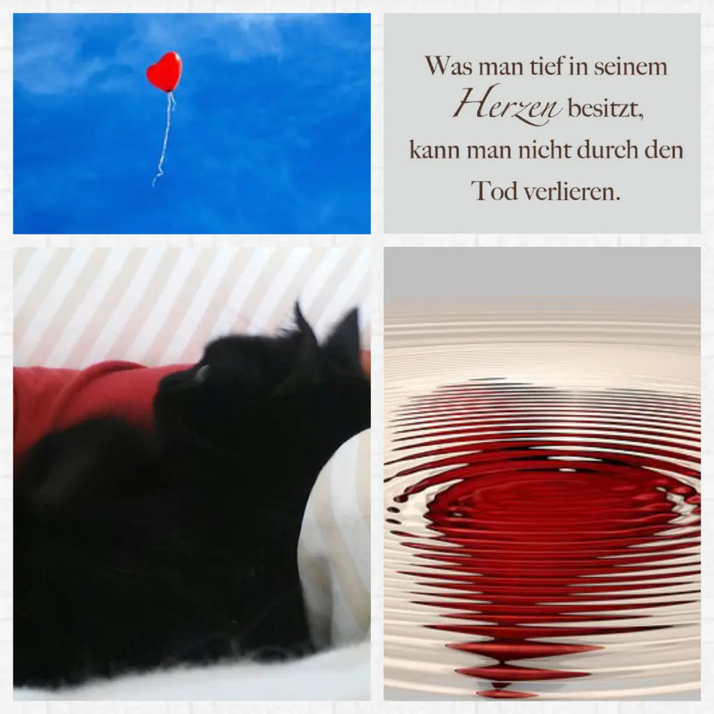 Condolence image of Anja mit Joy im Herzen ❤