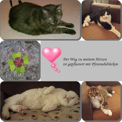 Condolence image of Ilse mit Jule, Gismo, Fee und Minna tief im Herzen