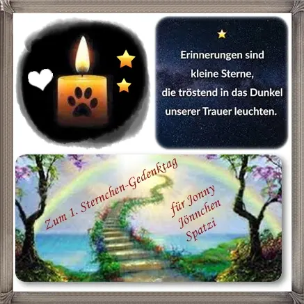 Condolence image of Ilse mit Tier-Sternlein Jule, Gismo, Fee und Minna im Herzen