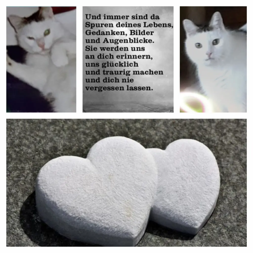 Condolence image of Anja mit Joy im Herzen ❤