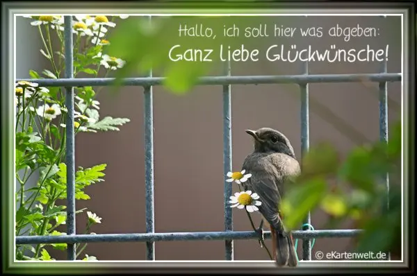Condolence image of Geburtstagsgrüße von♥Sam♥und Brigitta