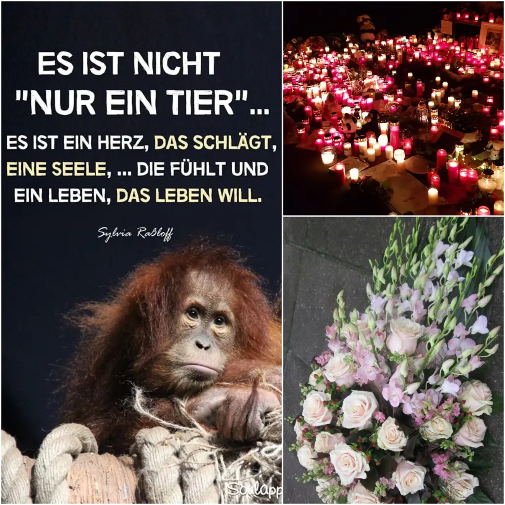 Condolence image of Deine Mutti Eike und Oma Edeltraud ♥️♥️