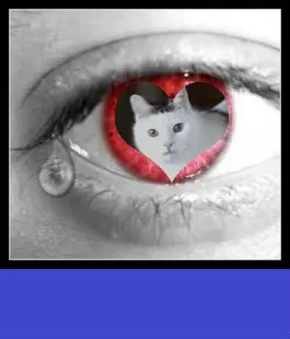 Condolence image of ❤️❤️❤️