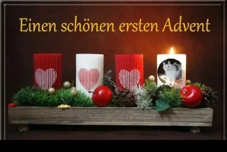 Condolence image of ❤️1. Advent❤️