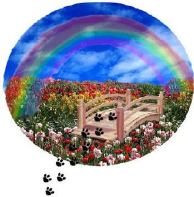 Condolence image of Ilse mit ihren geliebten Sternlein im Herzen
