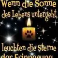 Condolence image of Tanja mit Timmy im Herzen