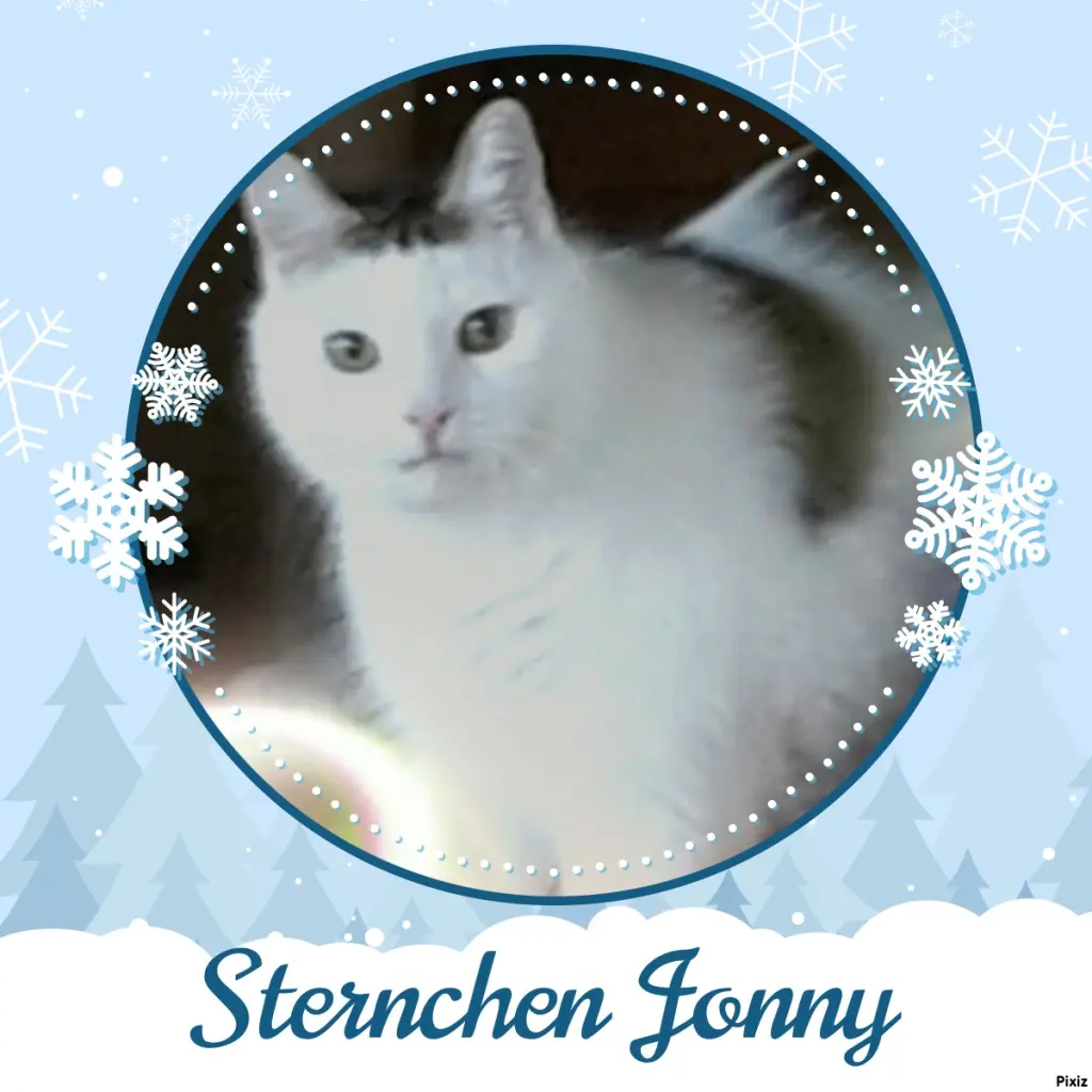 Condolence image of Tanja mit Timmy im Herzen