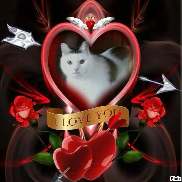 Condolence image of Tanja mit Timmy im Herzen 