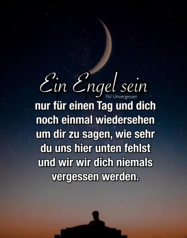 Condolence image of Hans u. Sibylle mit Momo im Herzen
