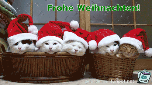 Condolence image of Frohe❤❤❤Weihnachten❤❤❤