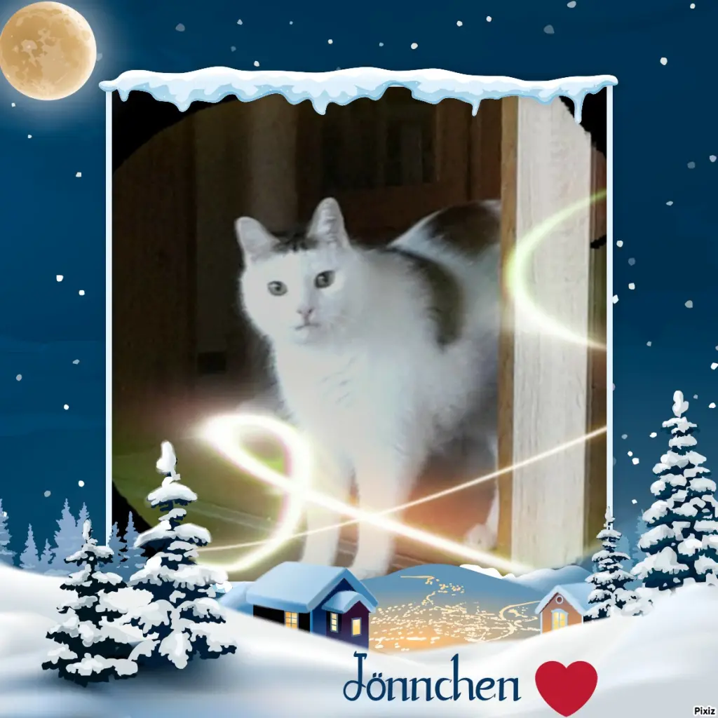 Condolence image of Tanja mit Timmy im Herzen 