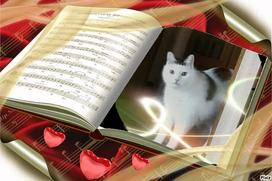 Condolence image of Tanja mit Timmy im Herzen 