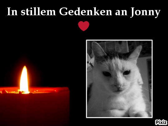 Condolence image of Tanja mit Timmy im Herzen