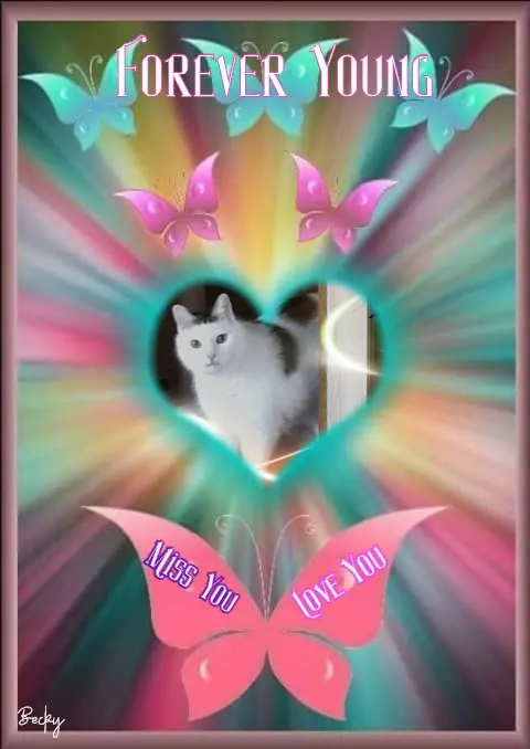 Condolence image of 5.Sternchen❤Gedenktag❤❤❤❤❤
